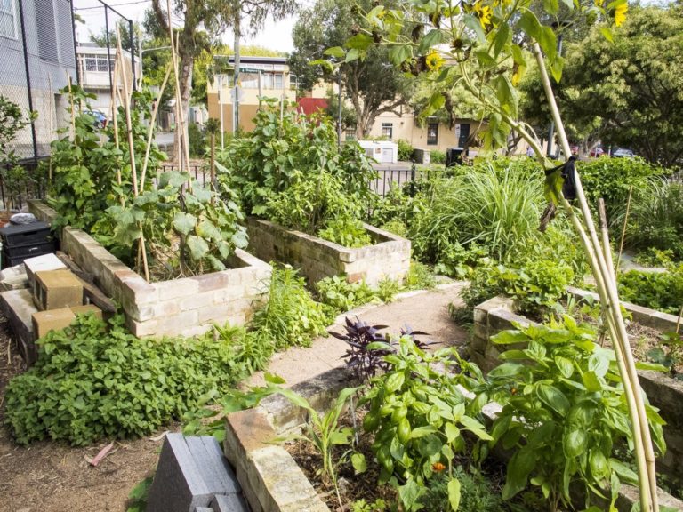 Read more about the article Community Garden Policy & Guidelines