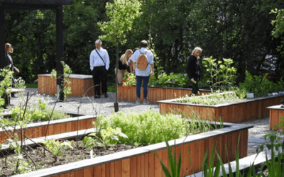 Botania Park Community Development Strategy