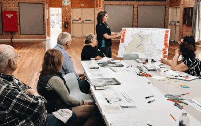 Wollondilly Resilience Plan Consultation