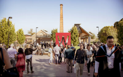 Parramatta Campus Activation Strategy (Western Sydney University)